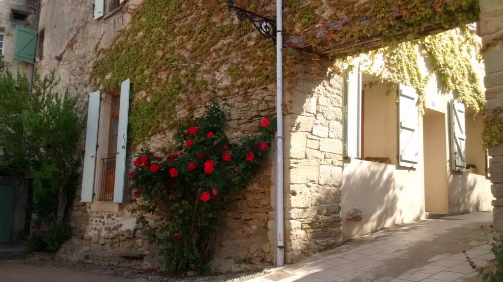 camon ariège pyrénées roses
