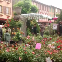 marché fleurs mirepoix ariège pyrénées