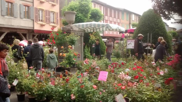 marché fleurs mirepoix ariège pyrénées