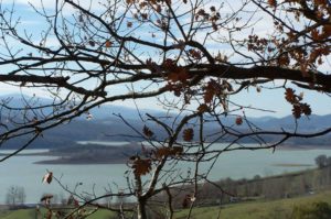 Randonnée: Balade autour du Lac de Montbel